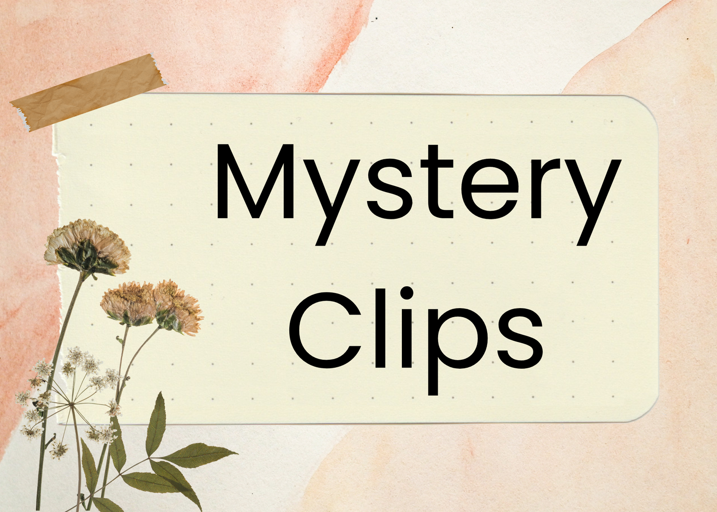 Mystery Clips