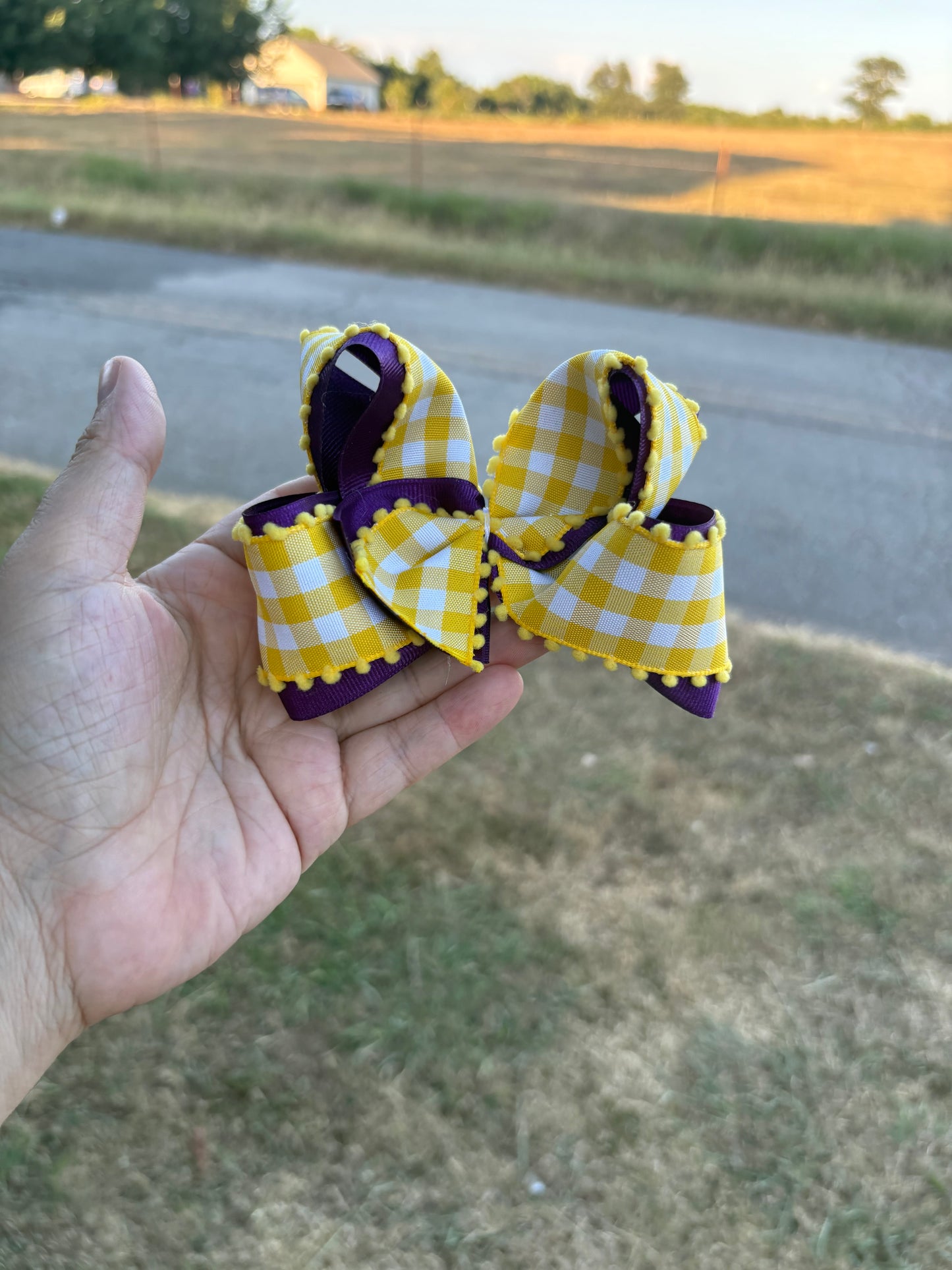 Small purple & yellow layered